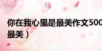 你在我心里是最美作文500字(你在我心里是最美)