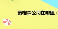 豪格森公司在哪里(豪格森)