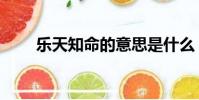 樂天知命的意思是什么(樂天知命)