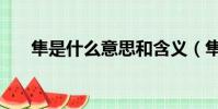 隼是什么意思和含義(隼是什么意思)