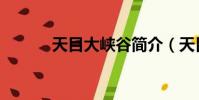 天目大峽谷簡介(天目大峽谷)