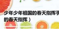 少年少年祖國的春天指揮手勢(少年少年祖國的春天指揮)