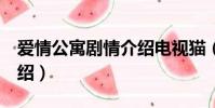 愛情公寓劇情介紹電視貓(愛情公寓2劇情介紹)