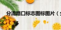 分流路口標志圖標圖片(分流路口標志)