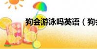 狗會游泳嗎英語(狗會游泳嗎)