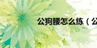 公狗腰怎么練(公狗腰)
