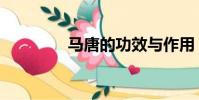 馬唐的功效與作用(馬唐)