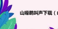 山噪鹛叫聲下載(山噪鹛)
