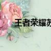 王者榮耀蘇烈（蘇烈是歷史什么人物）