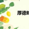 厚德蜂膠是騙人（厚德蜂膠）
