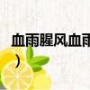血雨腥風血雨的意思（血雨腥風的意思是什么）