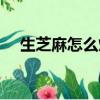 生芝麻怎么炒熟芝麻（生芝麻怎么炒熟）