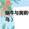 蝸牛與黃鸝鳥貝瓦（小蓓蕾組合 蝸牛與黃鸝鳥）
