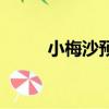 小梅沙預約公眾號（小梅沙預約）