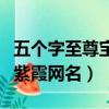 五個字至尊寶紫霞網名叫什么（五個字至尊寶紫霞網名）
