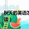 秋天的英語怎么讀autumn（秋天的英語怎么讀）