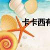 卡卡西有死過嗎（卡卡西死了嗎）