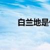 白蘭地是什么酒（vodka是什么酒）