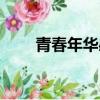 青春年華感悟簡短（青春年華歌詞）