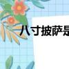 八寸披薩是多少厘米（八寸披薩多大）