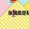 張碧晨是私生飯（私生飯是什么意思）