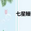 七星鰻和鰻魚的區別（七星鰻）