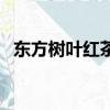 東方樹葉紅茶配什么好喝（東方樹葉紅茶）