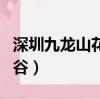 深圳九龍山花仙谷門票多少（深圳九龍山花仙谷）