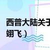 西普大陸關于他的記憶攻略（關于他的記憶卓翊飛）