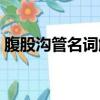 腹股溝管名詞解釋動物（腹股溝管名詞解釋）