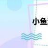 小魚湯做法大全（小魚湯）