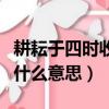 耕耘于四時收獲于仲夏的意思（我們的收獲是什么意思）