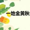 一地金黃秋來到是指什么生肖（一地金）