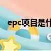 epc項目是什么意思（zutter是什么意思）