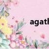 agatha christie（agatha）