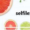 selfile怎么讀（selfirs怎么讀）