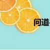 問道手游官服（問道私服）
