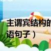 主謂賓結構的英語句子舉例（主謂賓結構的英語句子）