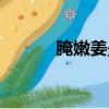 腌嫩姜最好吃的做法（腌嫩姜）
