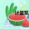 計量泵工作原理（計量泵原理）