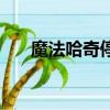 魔法哈奇停服了嗎（魔法哈奇手機版）
