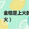 金桔是上火的還是敗火的（金桔是上火還是下火）