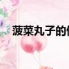 菠菜丸子的做法 水煮（菠菜丸子的做法）