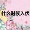 什么時候入伏什么時候出伏（什么時候出伏）
