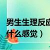 男生生理反應什么感覺都沒有（男生生理反應什么感覺）