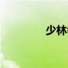 少林拳教學視頻（少林拳）