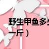 野生甲魚多少錢一斤2022（野生甲魚多少錢一斤）