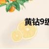 黃鉆9級一共要多少錢（黃鉆9）