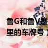 魯G和魯V是山東哪里的車牌號（魯f是山東哪里的車牌號）