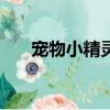 寵物小精靈逍遙（寵物小精靈xy116）